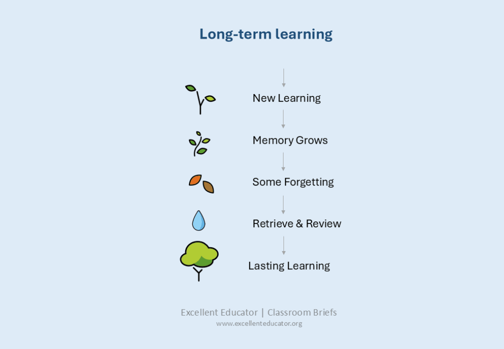 Illustration of a plant growing through stages from new learning to lasting learning. The sequence shows memory growing, some forgetting, retrieval and review, and stronger long term learning.